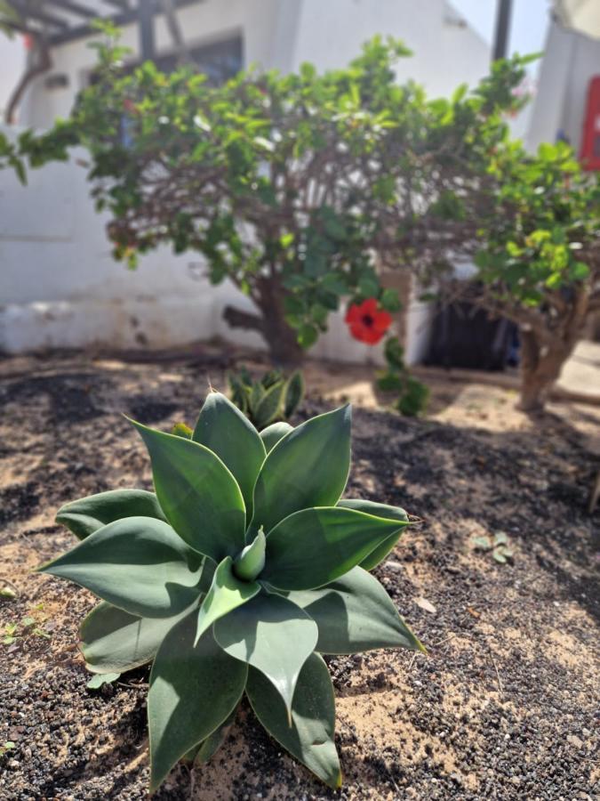 Casa Vivi Fuerteventura Apartment Corralejo Ngoại thất bức ảnh
