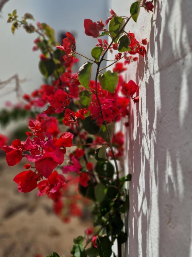 Casa Vivi Fuerteventura Apartment Corralejo Ngoại thất bức ảnh